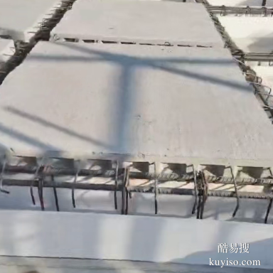 預(yù)制空心的混凝土模塊湖南模盒BBF密肋樓蓋裝配箱生產(chǎn)廠家