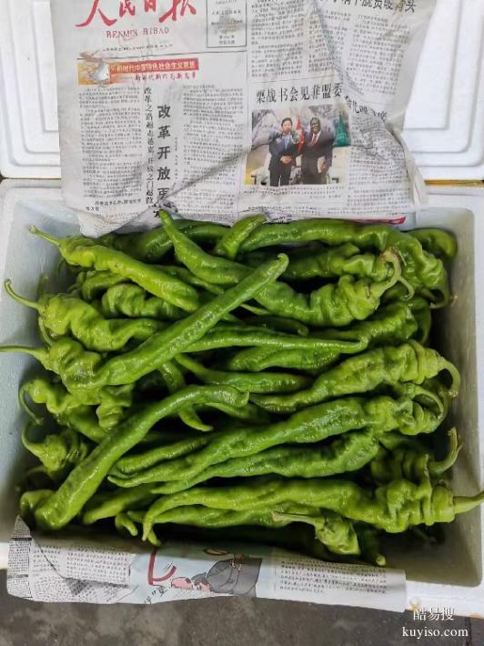 廈門市蔬菜批發(fā)價格表