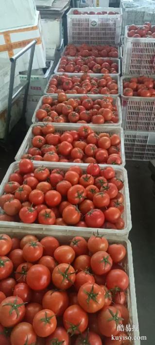 廈門蔬菜配送公司電話