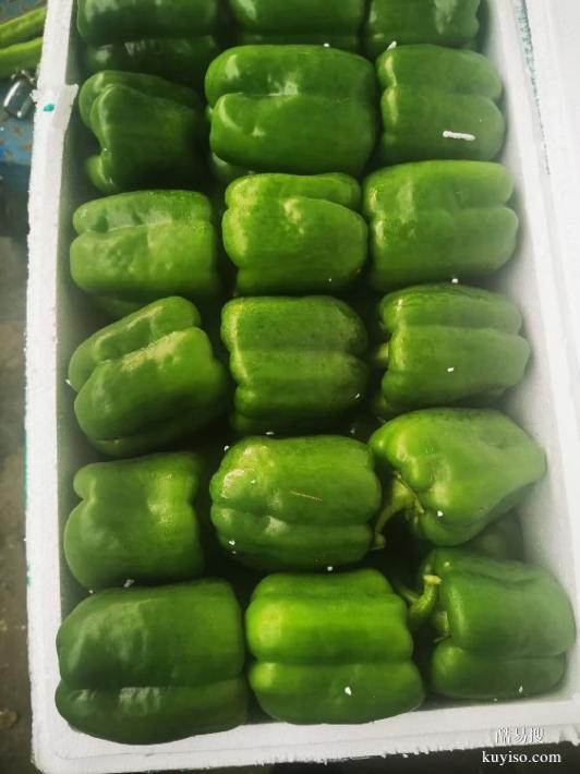 新鮮蔬菜配送app