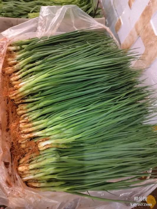 廈門新鮮蔬菜配送