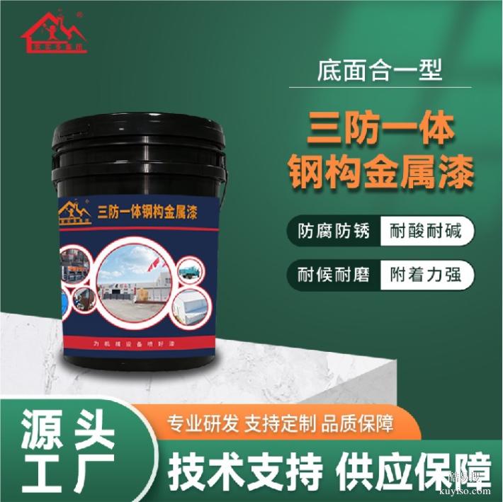 三防一體工業(yè)漆,高分子中涂漆,高速護(hù)欄防銹涂料