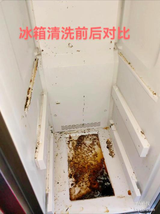 哈爾濱冰箱清洗哪家靠譜：真實場景實測與品質(zhì)解析