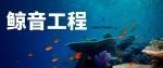 封開(kāi)縣可以做水下貴重物品打撈中心一覽（2026收費(fèi)一覽）