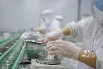 重庆燕窝代加工企业