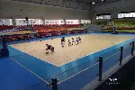 东莞东城区哪里有青少儿篮球培训班参加