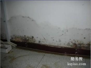 枣庄阳台墙面防水 30年老店屋顶防水补漏