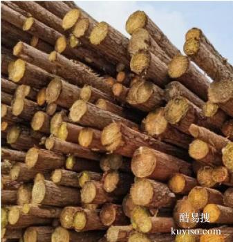 沧州南皮常年供应松木桩 竹笆片 植树杆 竹片批发电话