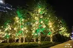 北京亮化工程施工安装北京楼顶夜景照明施工安装