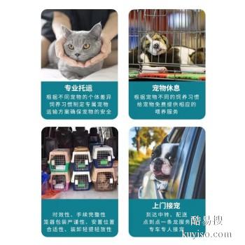 潢川宠物托运 上门接送猫狗活体运输到全国