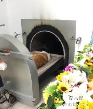 威海宠物埋葬 宠物骨灰抛洒 回归自然 宠宝天堂公司