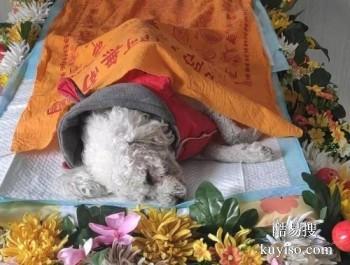 济宁宠物埋葬 宠物纪念馆 宠宝服务联系方式