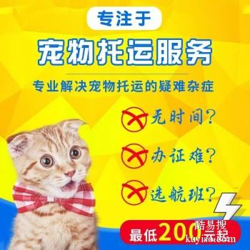 安庆市宠物托运 猫狗活体运输邮寄 上门接送