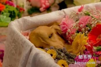 滨州宠物埋葬 宠物服务 宠宝归属联系方式