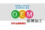 蓝莓沙棘维生素C压片糖果OEM贴牌代加工源头生产厂家支持定制