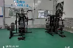 洞口县体育设施健身器材小飞鸟