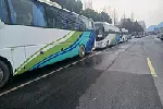 杭州商务车租赁商务包车商务车出租