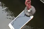 长沙河道水库打捞手镯手机钥匙，水下寻物作业班组