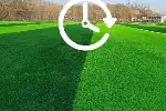 承德人造草坪价格高标准施工