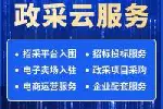 安徽东至县投标文件