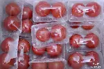 郑州春节蔬菜礼品年货箱