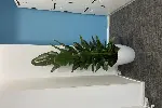 绿植租赁植物租赁绿植租摆花卉租赁天津花卉租摆谷鑫亚泰花卉园艺