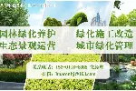 大兴区园林绿化养护绿地修补维护