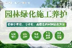 企业厂区绿化养护 园林修剪维护保养 景观设计施工 一站式服务