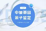 南京亲子鉴定流程指南和中心地址一览(附26年鉴定指南)