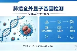济宁嘉祥全外显子基因检测！14家正规机构一览（附26年检测汇总）